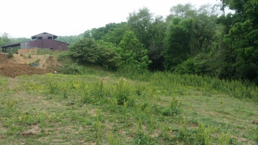 33365692_223578031561109_2854120057271746560_o-1024x576