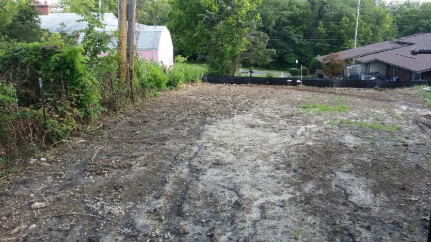 clearingWithSilkFence-1024x576